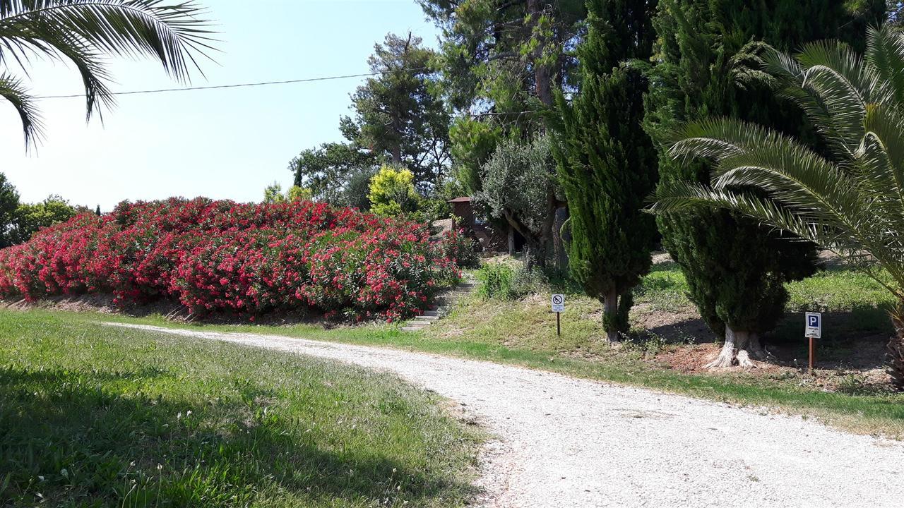 La Casa In Campagna Bed & Breakfast Cossignano Exterior photo